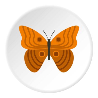 Süsleme simgesi daire ile kelebek