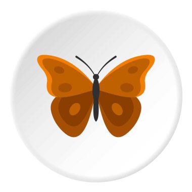 Büyük kanatları simgesini daire ile böcek kelebek