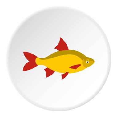 Scardinius erythrophthalmus simgesini daire