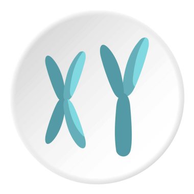 X ve Y kromozomu simgesini daire