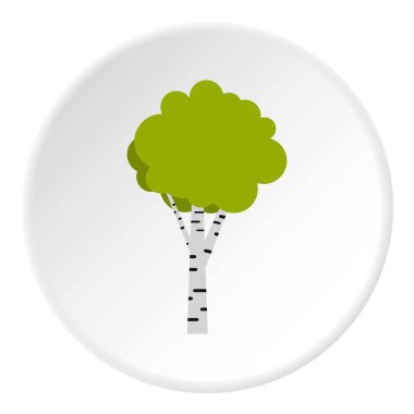 Huş ağacı simgesini daire