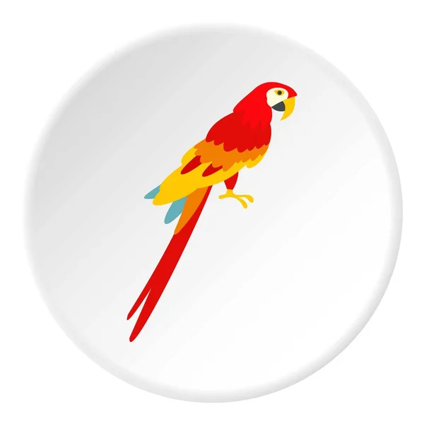 Scarlet macaws simgesini daire — Stok Vektör