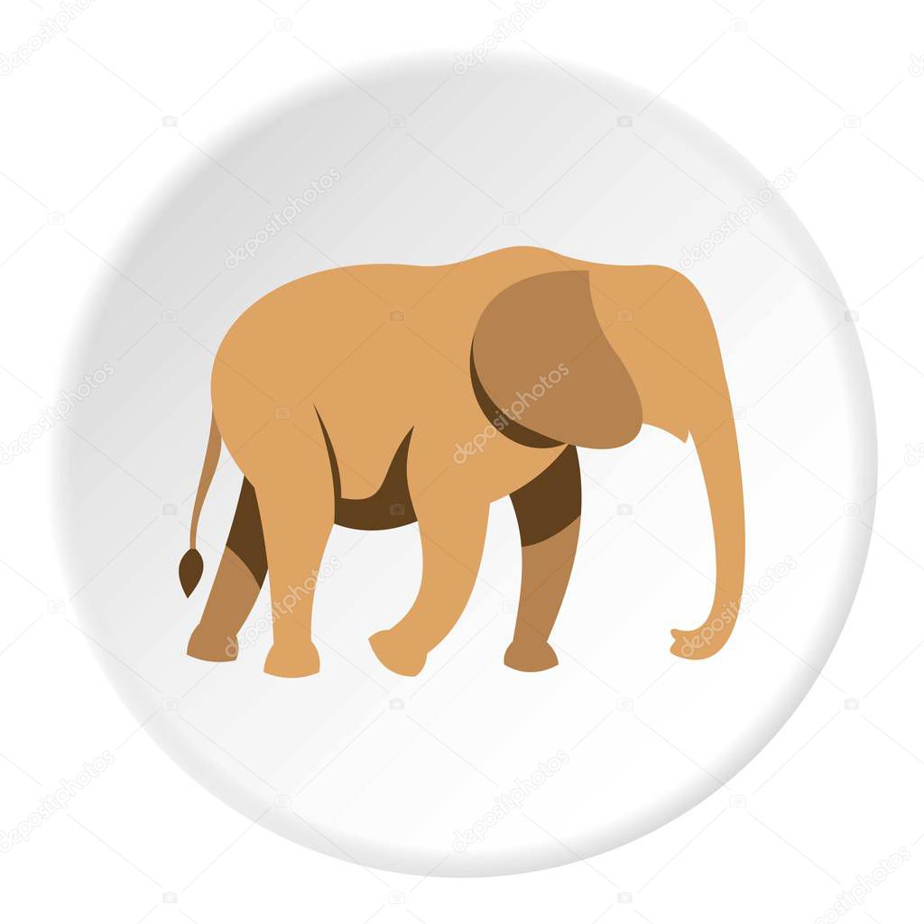 Elephant icon circle