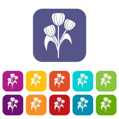 Çiçek simgeleri düz ayarlamak