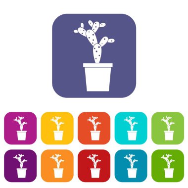 Opuntia simgeleri düz ayarlamak