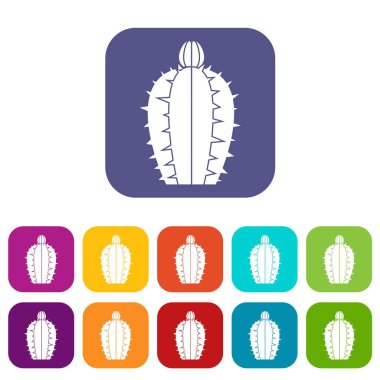 Çiçek açan kaktüs simgeleri düz ayarlamak