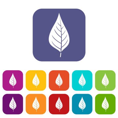 Elma ağacı yaprak simgeleri düz ayarlamak