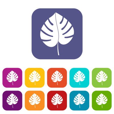 Monstera simgelerin yaprak düz ayarla