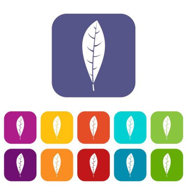 Düz yaprak Icons set