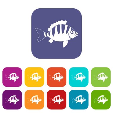 Levrek simgeleri düz ayarlamak