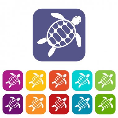 Kaplumbağa simgeleri düz ayarlamak