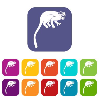 Düz Marmoset maymun Icons set