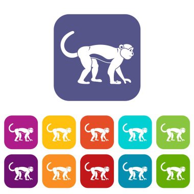 Düz makak Icons set