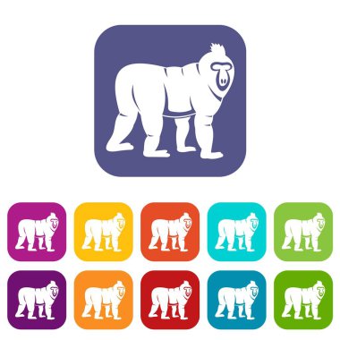 Mandrill'di maymun simgeleri düz ayarlamak