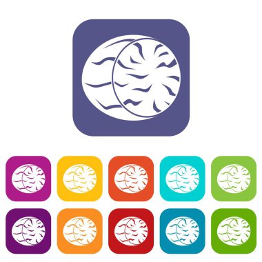 Küçük Hindistan cevizi simgeler yarısı düz ayarla