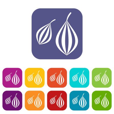 Trachyspermum annem simgeleri düz ayarlamak