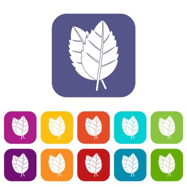 Düz ayarlamak simgeleri iki fesleğen yaprağı