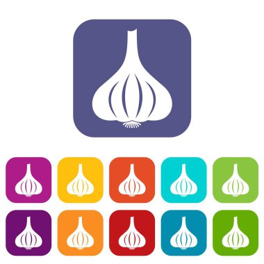 Sarımsak simgeleri düz ayarlamak