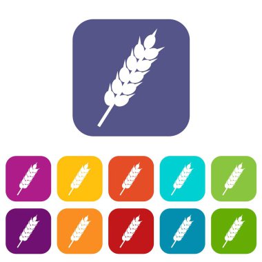 Kurutulmuş buğday kulak simgeler düz ayarla