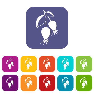 Dogrose çilek şube simgeleri düz ayarlamak