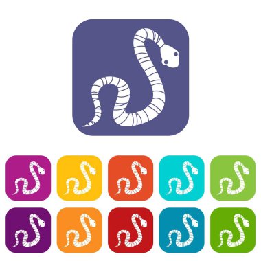 Düz çizgili yılan Icons set