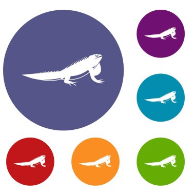 İguana Icons set