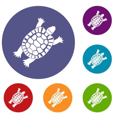 Kaplumbağa Icons set