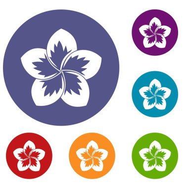 Frangipani çiçek Icons set