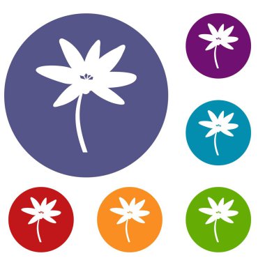 Tropikal palmiye ağacı Icons set