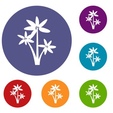 Palmiye ağacı Icons set