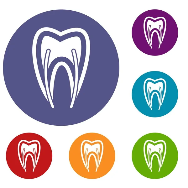Przekrój poprzeczny ikony zestaw ząb — Wektor stockowy