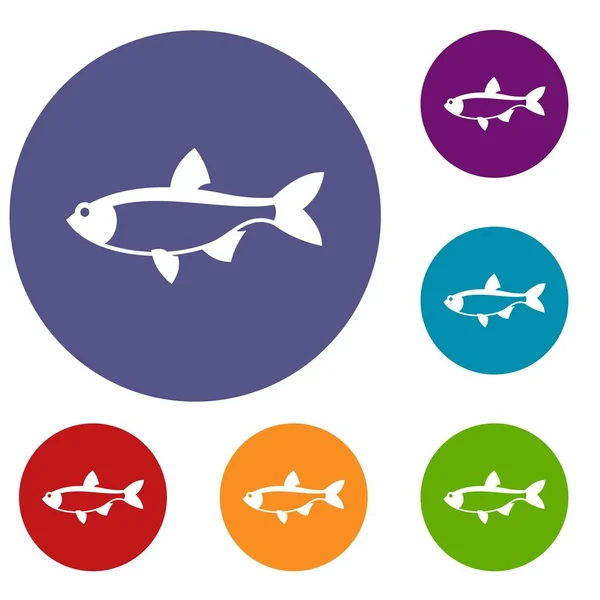 Conjunto de iconos de pescado Rudd — Vector de stock