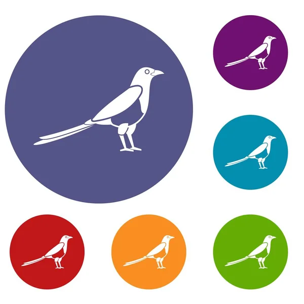Bird magpie icons set — Stock Vector