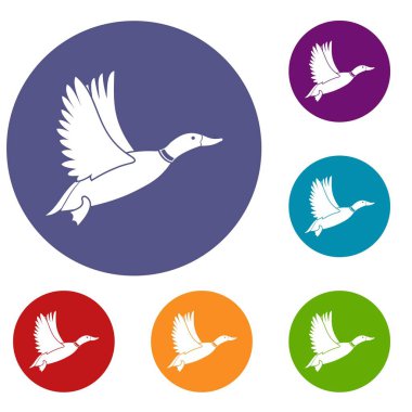 Ördek Icons set