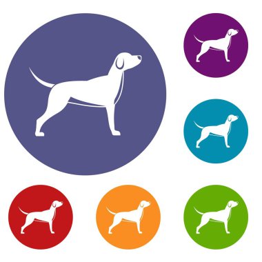 köpek Icons set