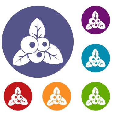 Kızılcık Icons set