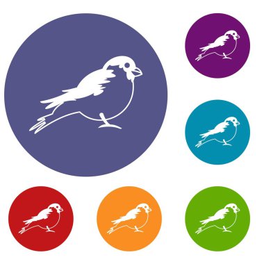 Şakrak kuşu Icons set