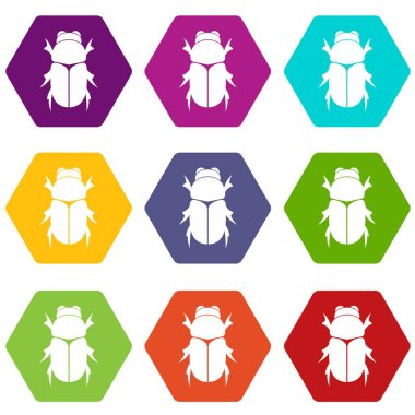 Renk altı yüzlü Chafer böceği Icon set