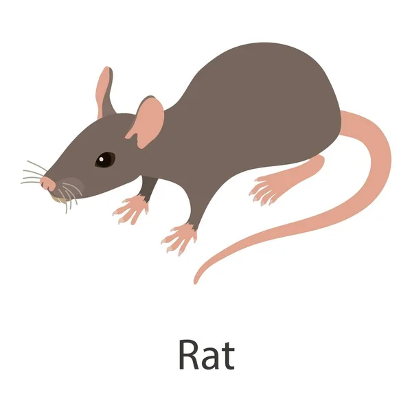 Иконка крысы, изометрический стиль — стоковый вектор