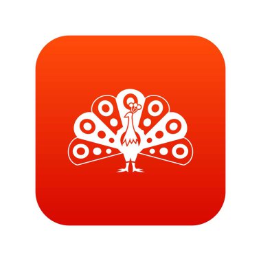 Peacock akan kuyruk simgesi dijital kırmızı