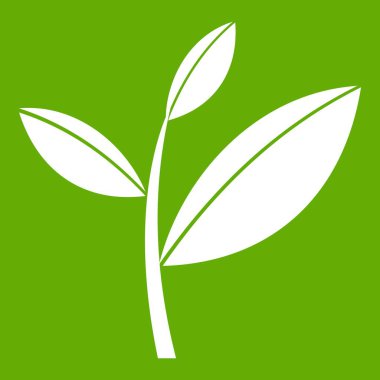 Çay yaprak Filiz simgesi yeşil