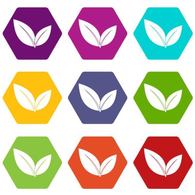 Renk altı yüzlü yaprak Icon set