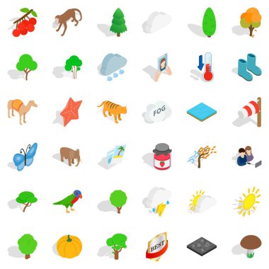 Topografya Icons set, izometrik stili