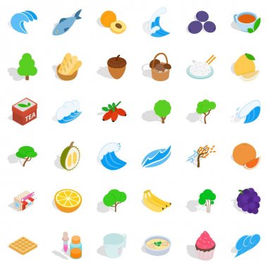 Ham Icons set, izometrik stili