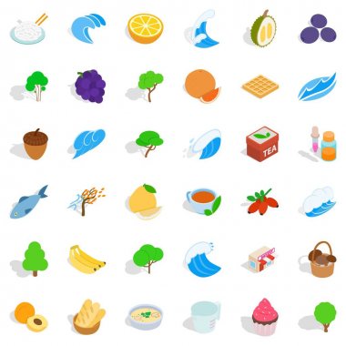 Vahşi Icons set, izometrik stili