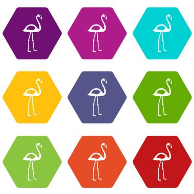 Renk altı yüzlü Flamingo Icon set