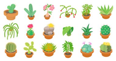 Kaktüs simge seti, karikatür tarzı