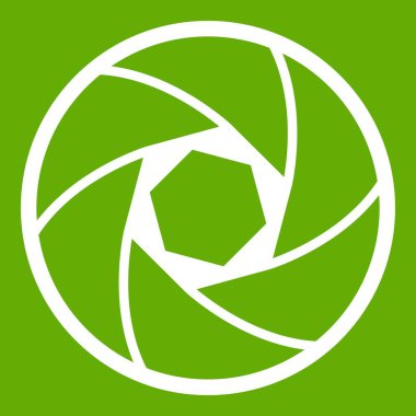 Profesyonel objektif simgesi yeşil