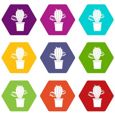 Renk altı yüzlü kaktüs houseplants pot simgesi ayarla