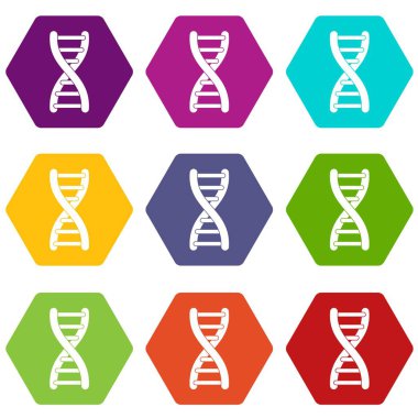 Renk altı yüzlü DNA strand Icon set
